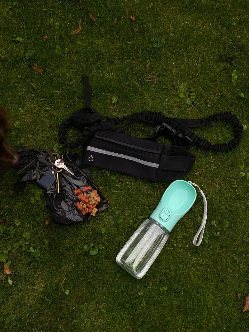 The Roam Lead belt and Sip Bottle on grass with keys, poo bags and treats