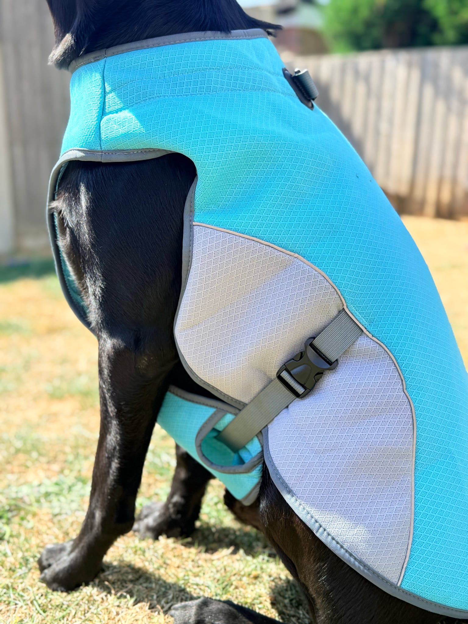Dog Cooling Vest