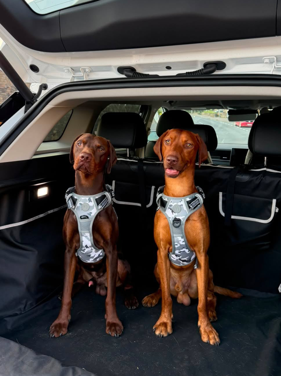 Patrol Harness