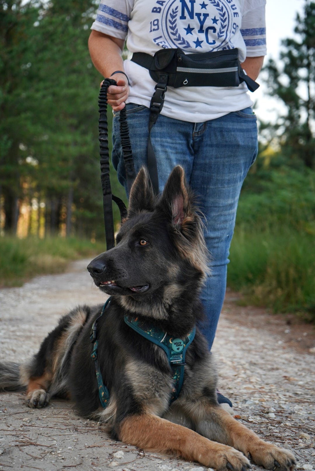 WANDRA Roam Lead worn around the waist for hands-free dog walking