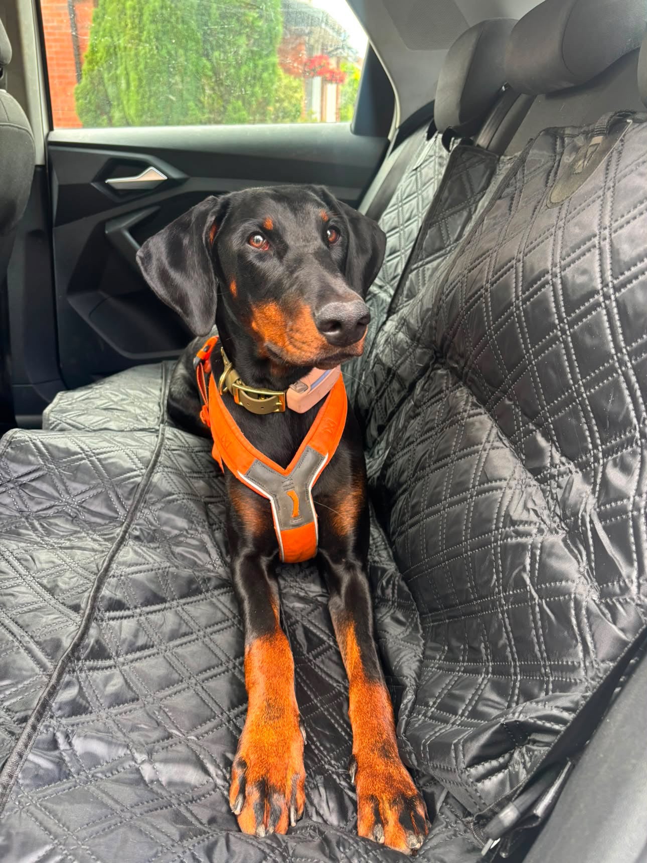 Seat Cover