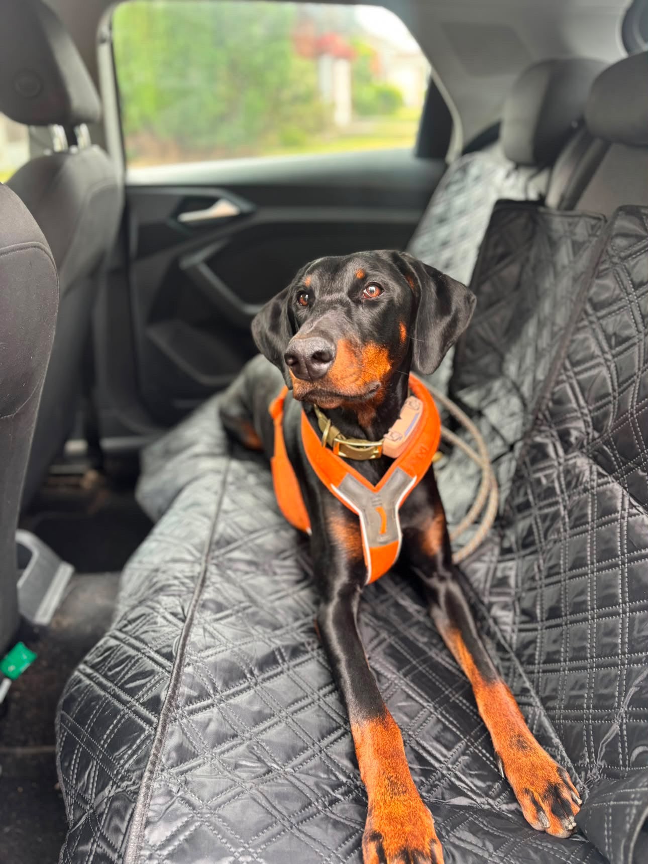 Seat Cover