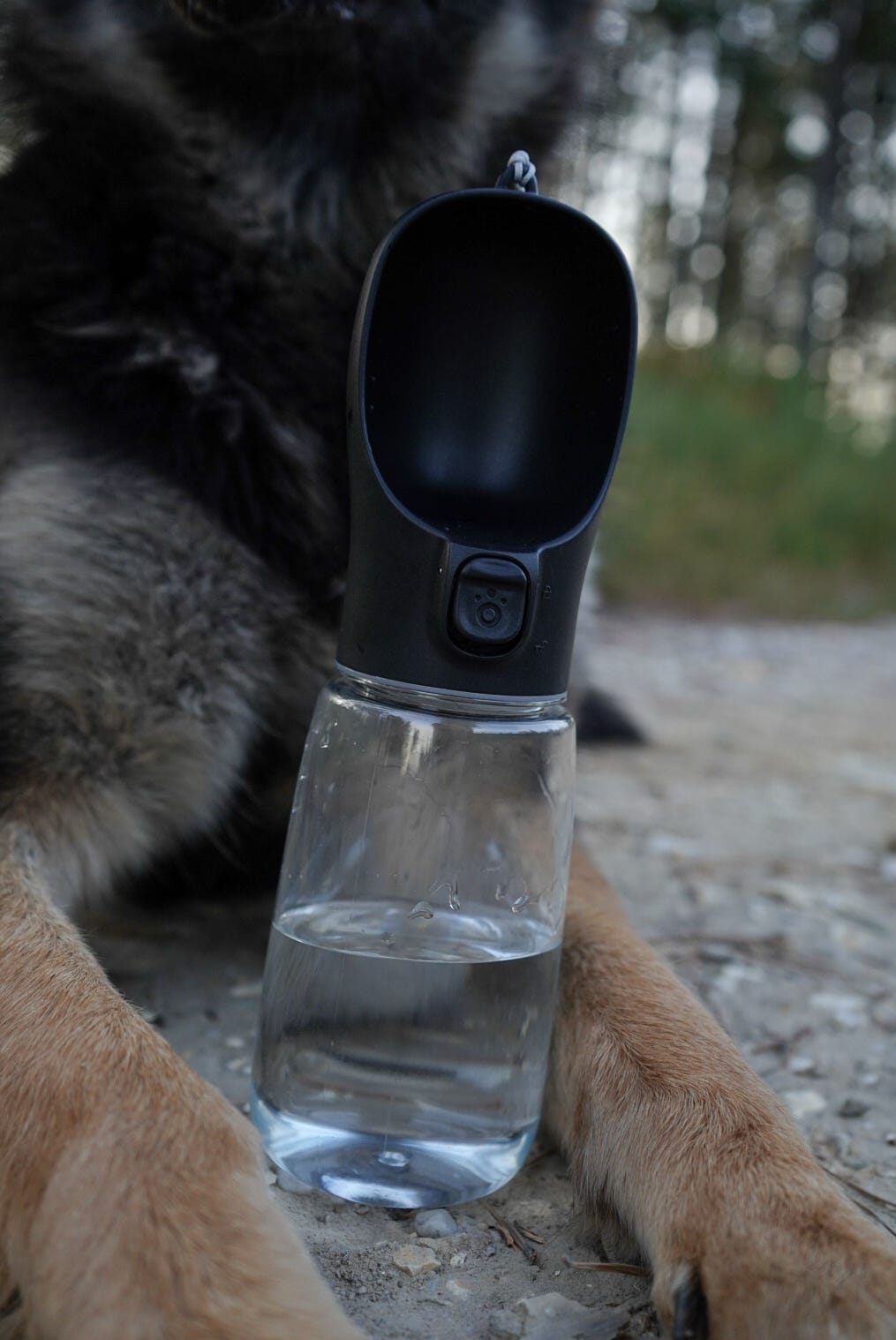 WANDRA Sip Bottle one-handed trough dispensing water for a dog to drink