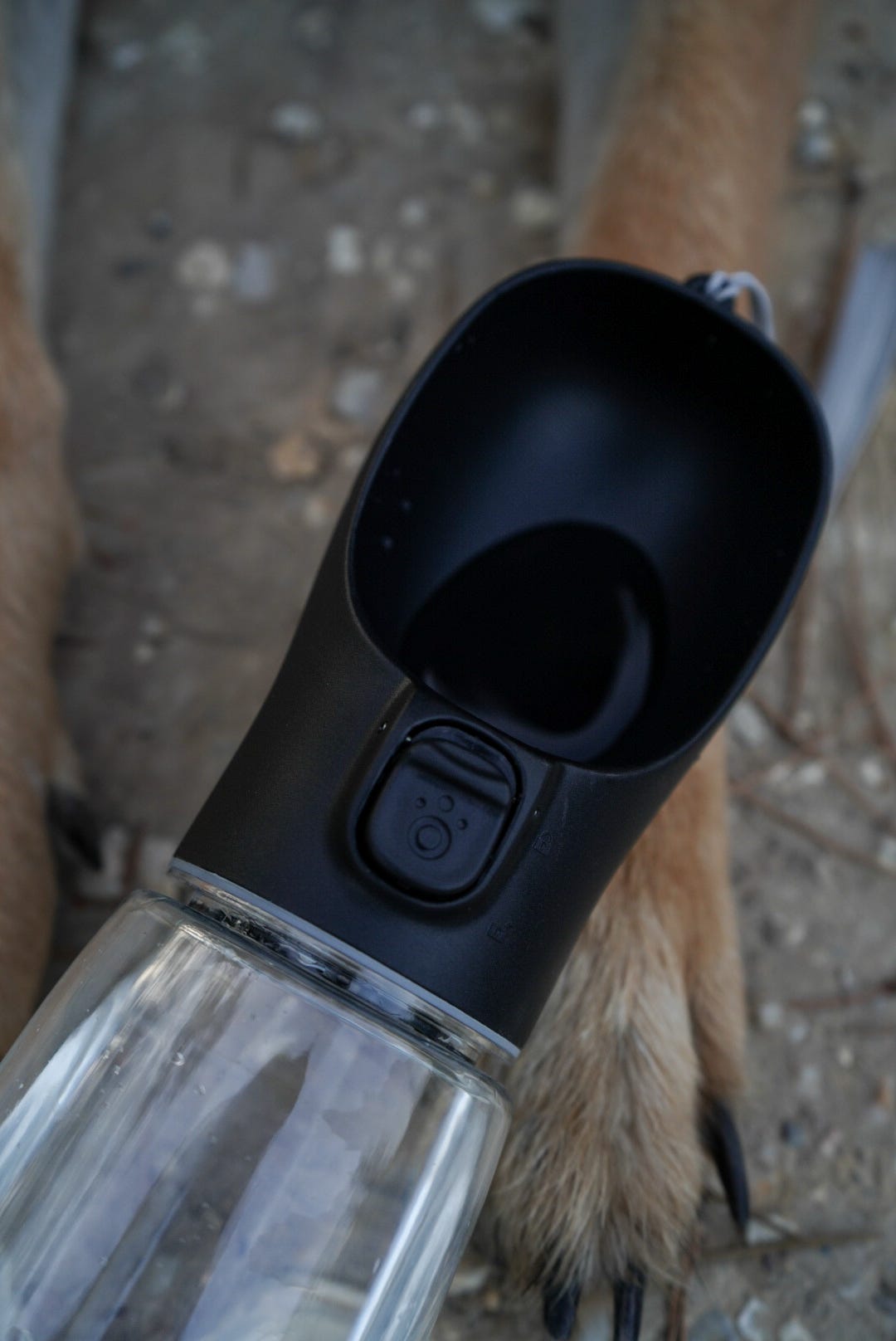 WANDRA Sip Bottle shown in available colours