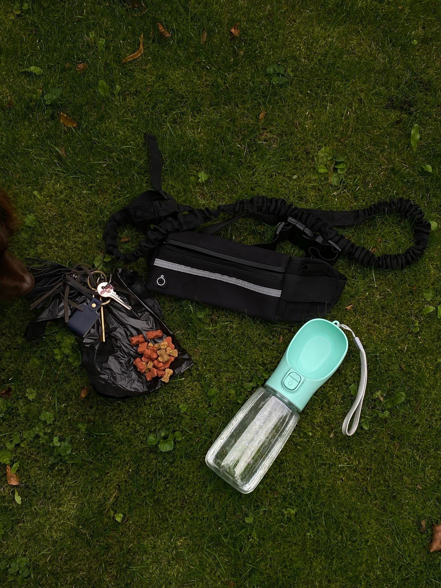 The Walk Kit