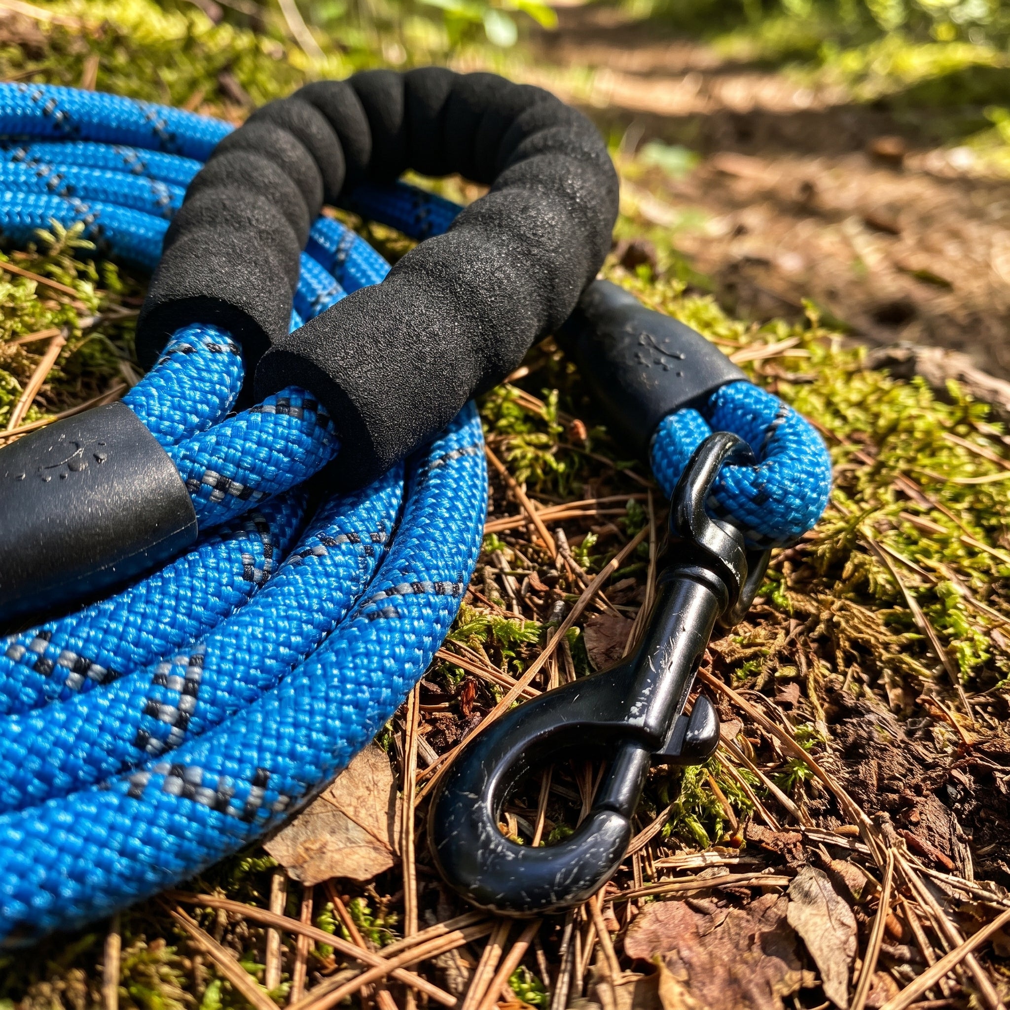 Path Leash