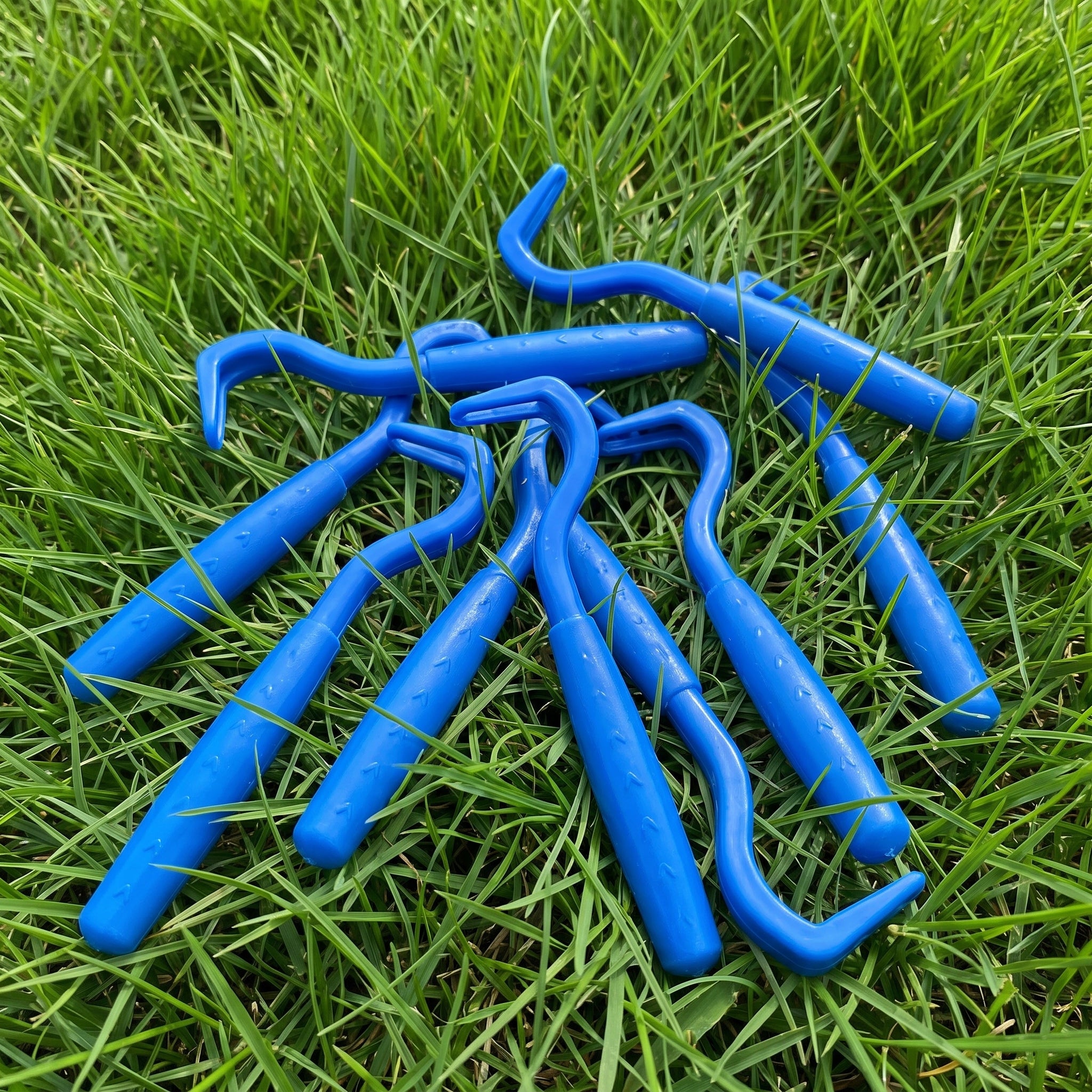 Tick Remover Kit
