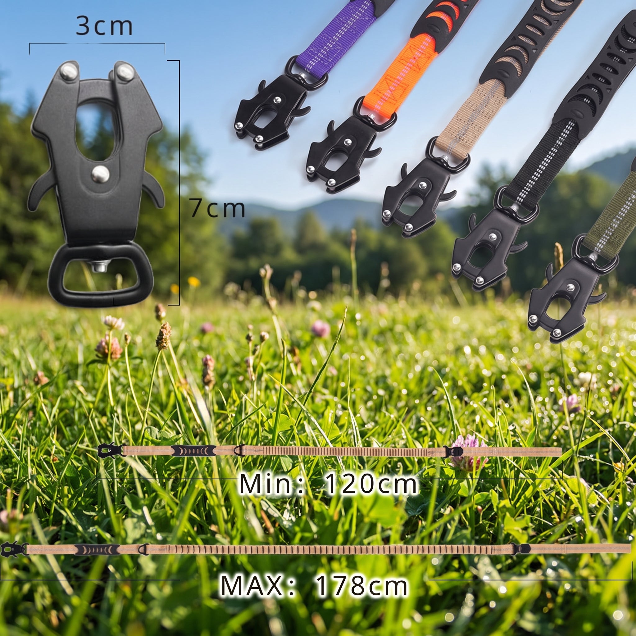 Bungee Lead