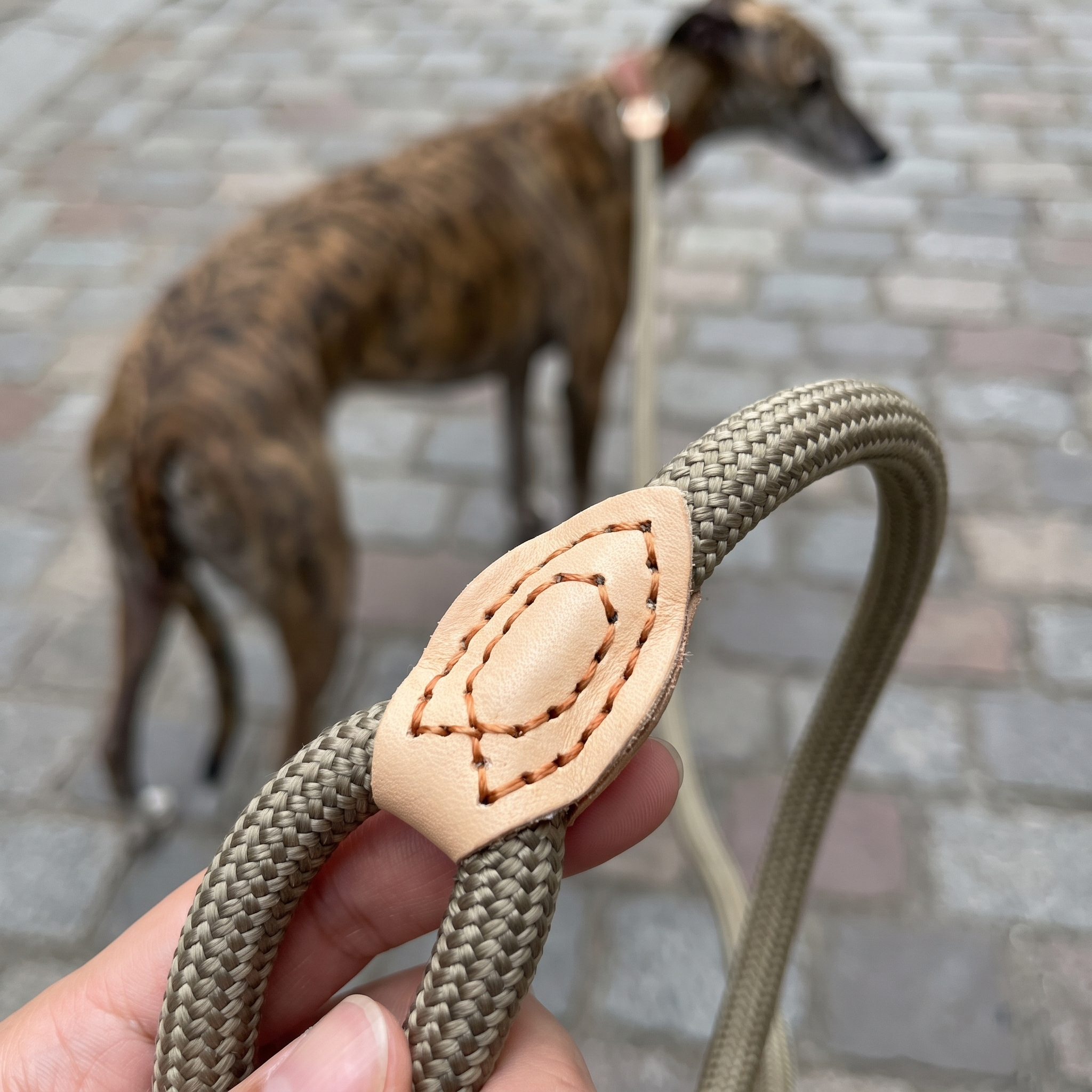 Slip Rope