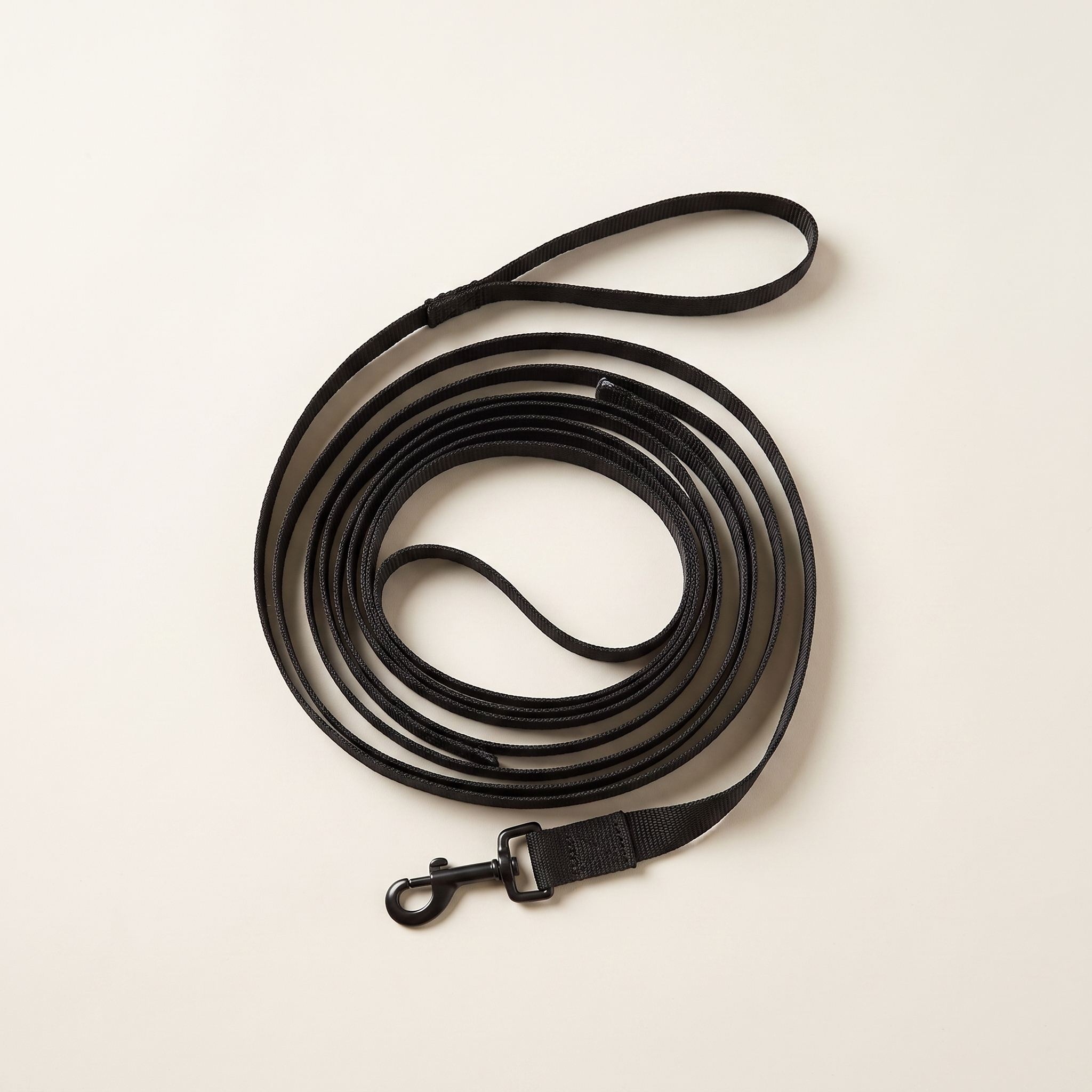WANDRA Long Explore Lead in Black, long flat webbing training lead coiled with a metal trigger clip