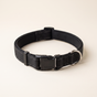 Core Collar