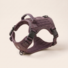 WANDRA Ridgeway Harness in Purple