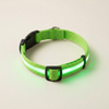 The Wandra Beacon Collar in green with its light strip switched on and glowing green