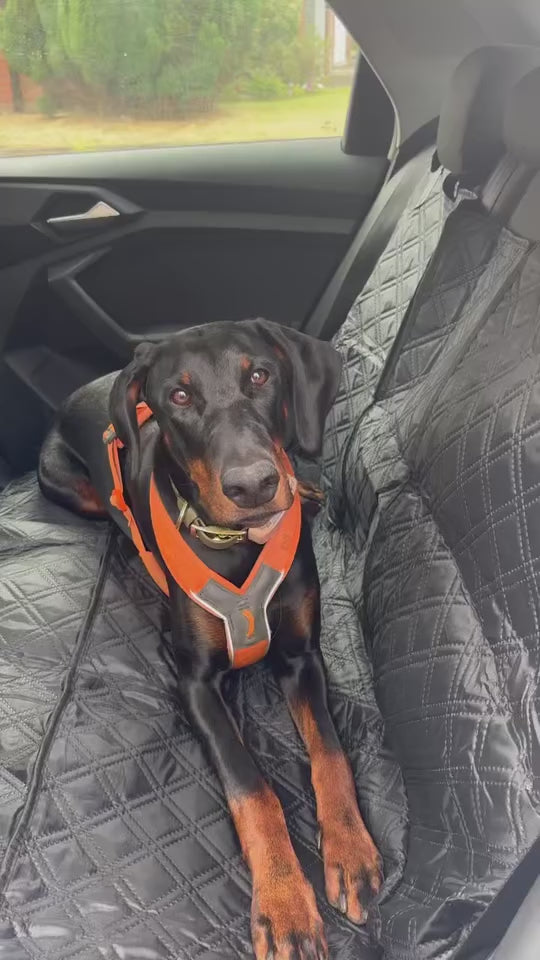 Seat Cover