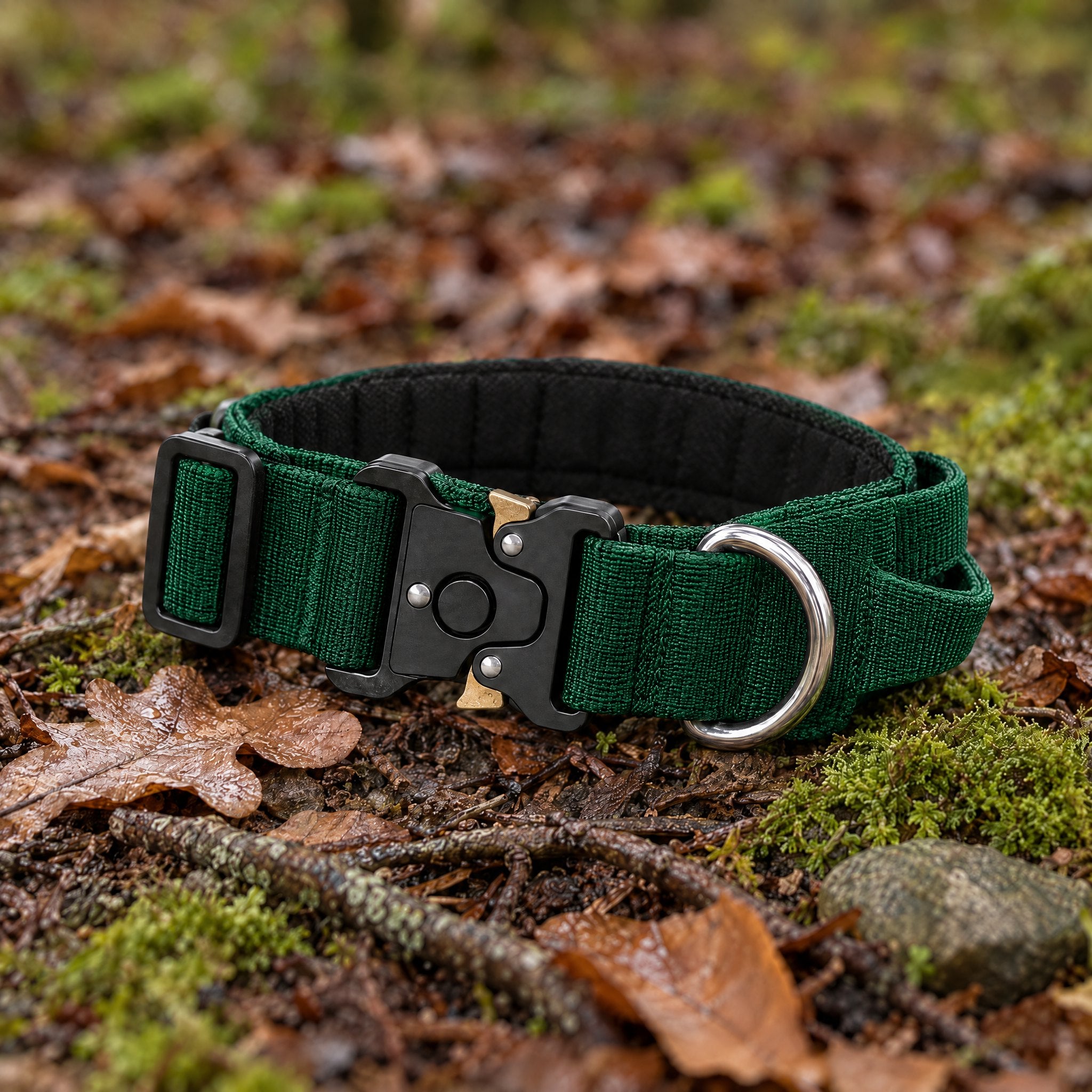 Wandra Crag Collar in Forest green lying on moss and fallen leaves on a woodland floor