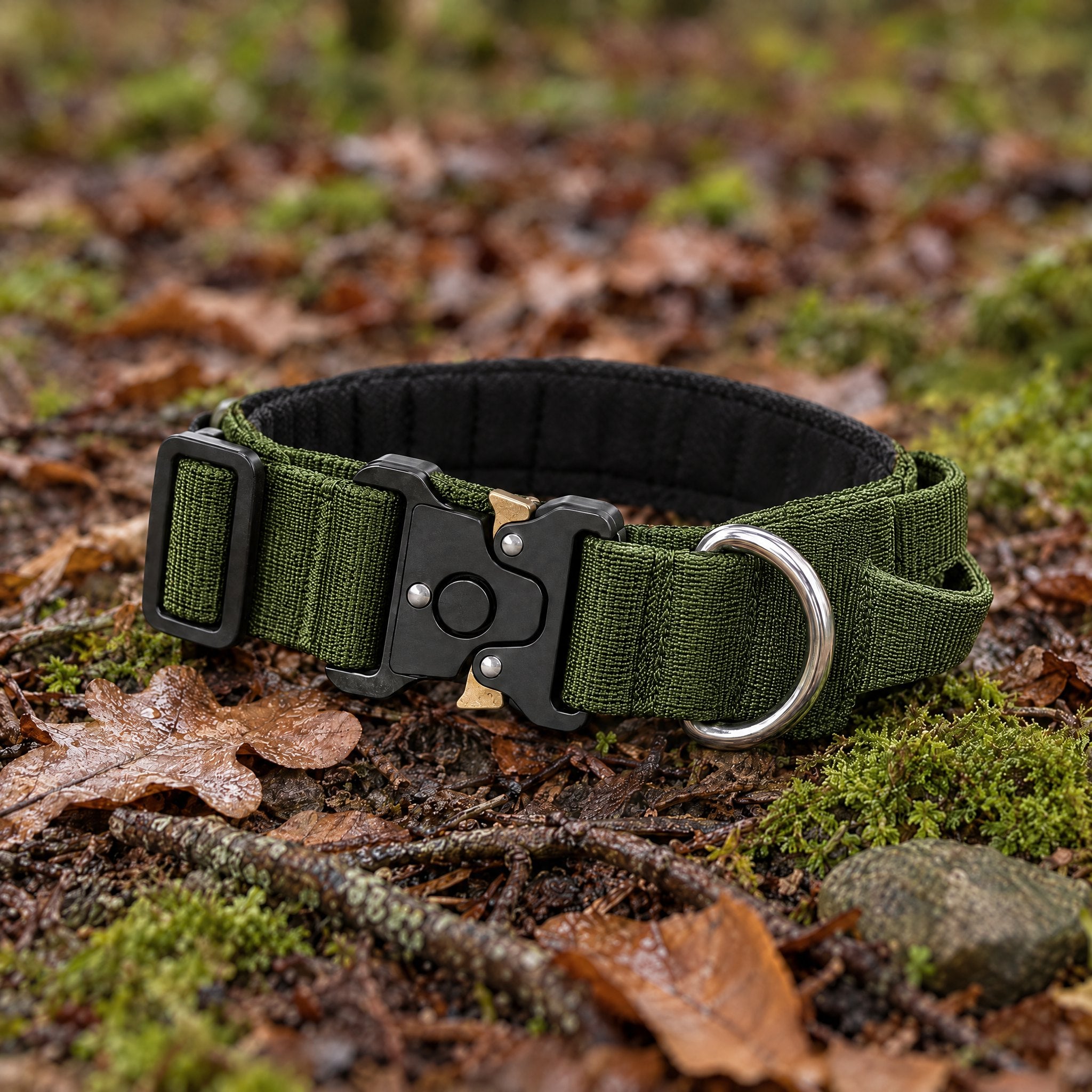 Wandra Crag Collar in Moss green lying on moss and fallen leaves on a woodland floor