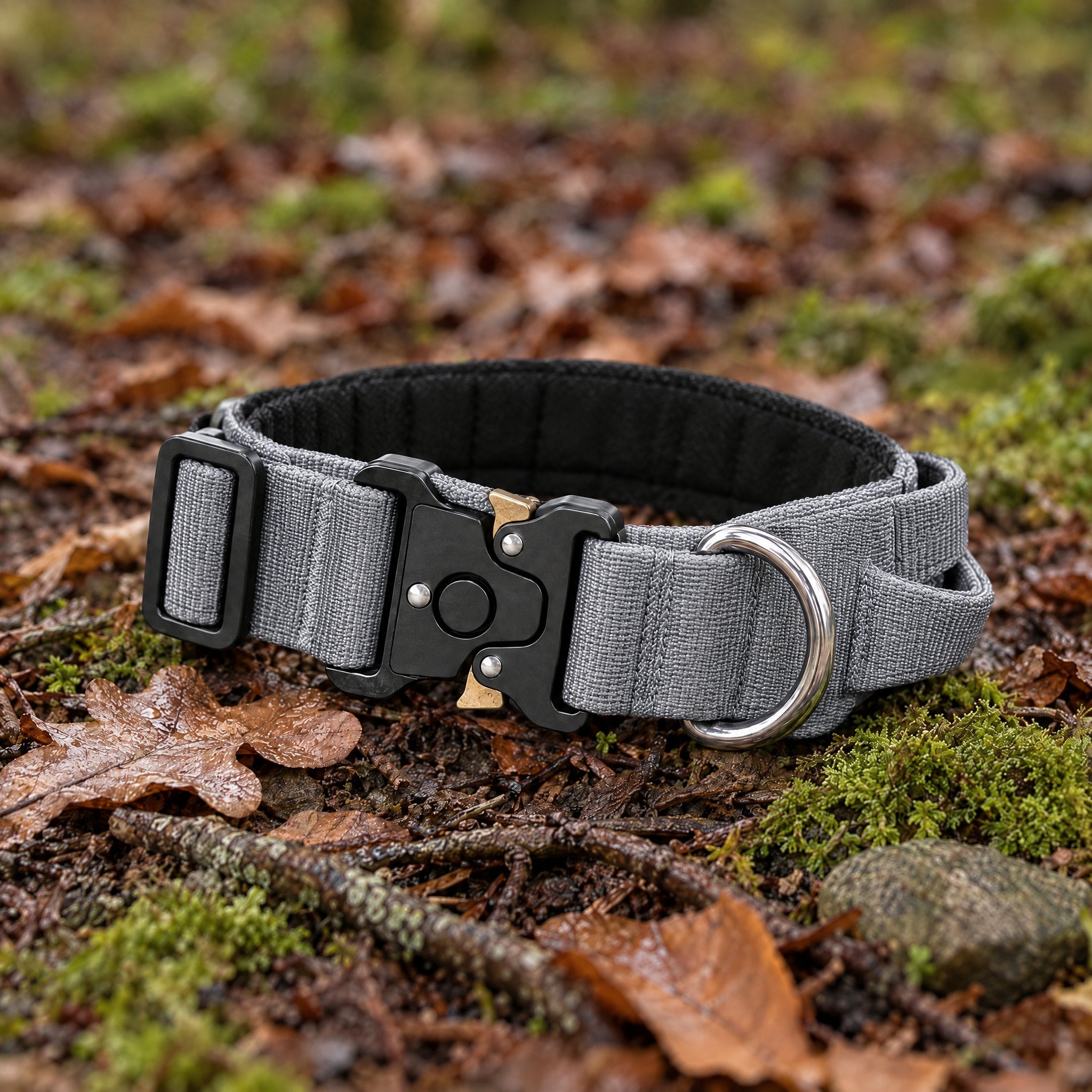 Wandra Crag Collar in Slate grey lying on moss and fallen leaves on a woodland floor