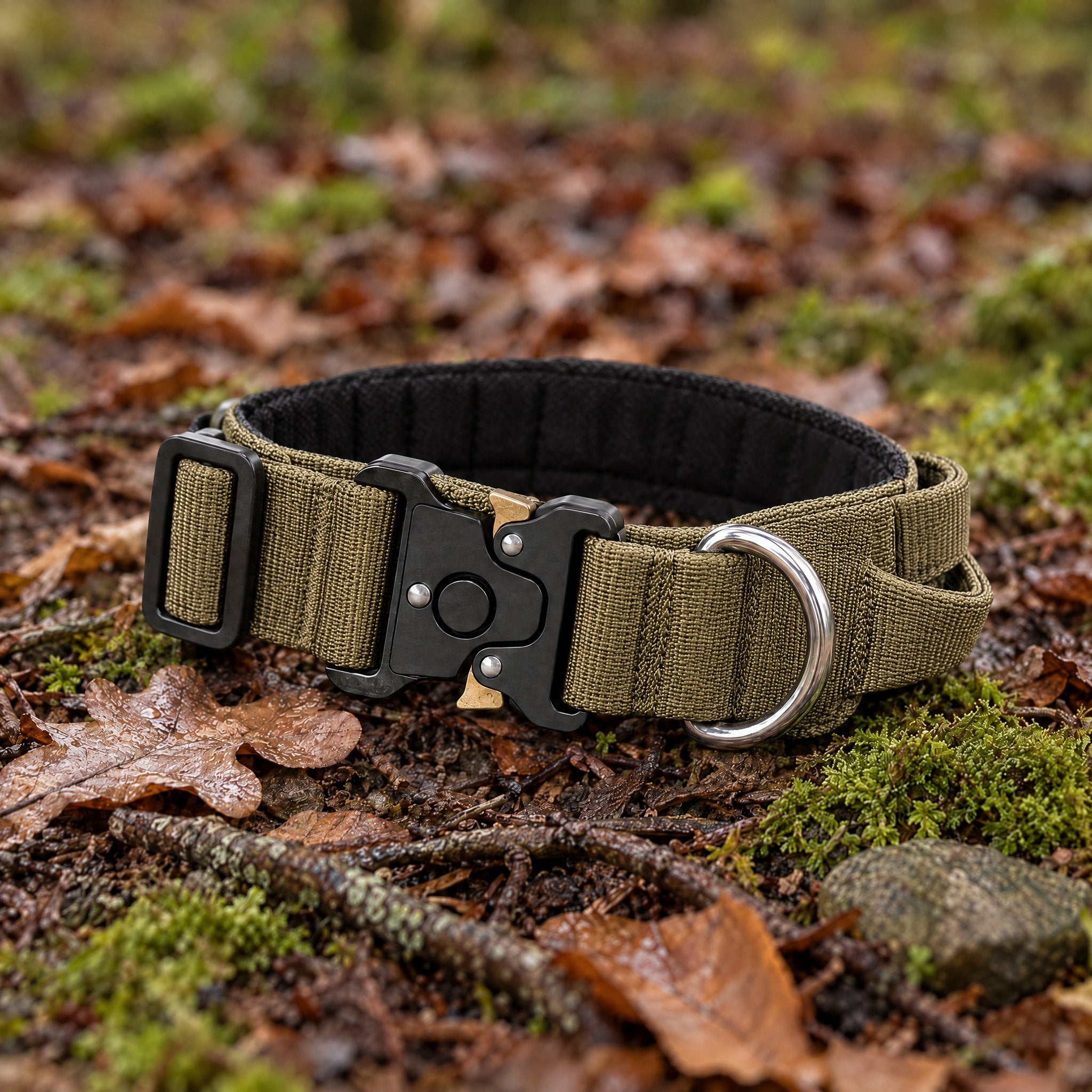 Wandra Crag Collar in Stone lying on moss and fallen leaves on a woodland floor