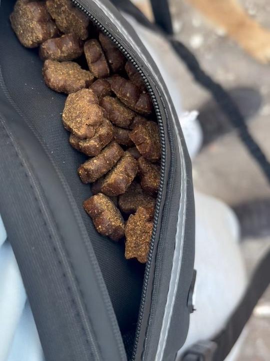 The Roam Lead's zipped pouch open and full of dog treats